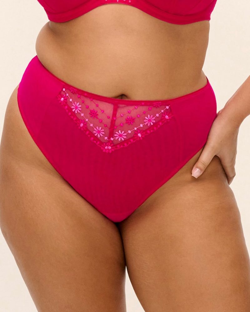 992x1389-pdp-desktop-EL8909-HOK-primary-Elomi-Lingerie-Matilda-Hot-Pink-Brazilian