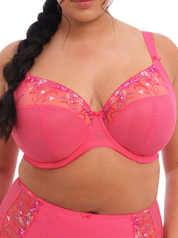 EL4380-HOE-primary-Elomi-Lingerie-Charley-Honeysuckle-UW-Plunge-Bra